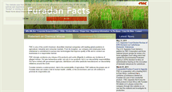 Desktop Screenshot of furadanfacts.com